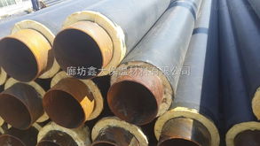 dn600 寧德國標(biāo)聚氨酯直埋保溫管廠家